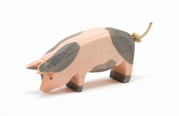 Pig Spotted Head Low
