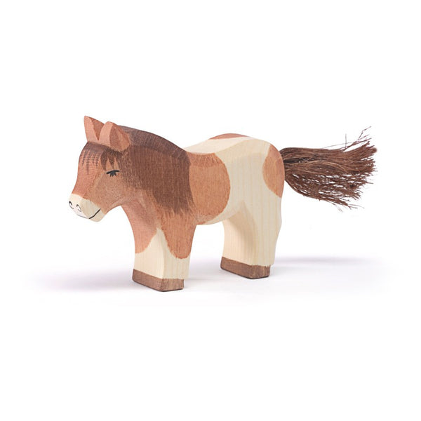 Shetland Pony Standing