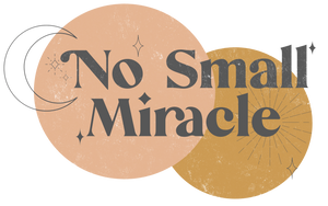 no small miracle children's boutique