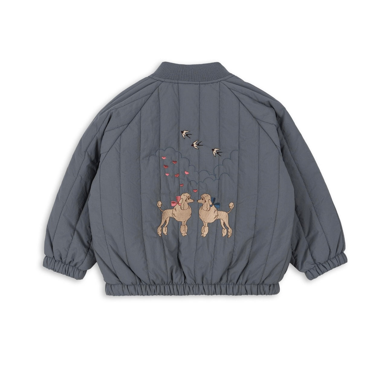 bomber jacket poodle