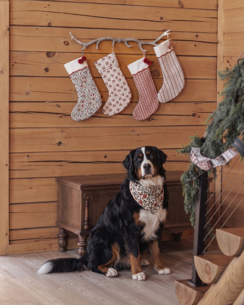 Dog Bandana Holiday Floral