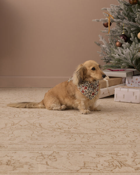 Dog Bandana Holiday Floral