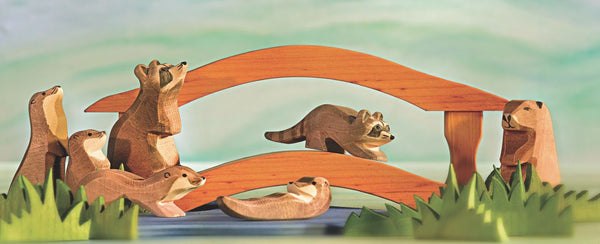 Raccoon Small