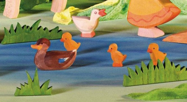 Duck Swimming