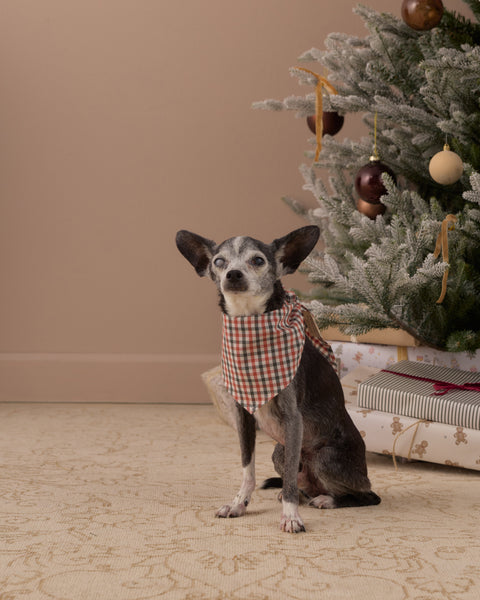 Dog Bandana Holiday Gingham