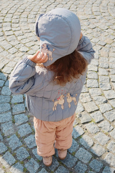 bomber jacket poodle