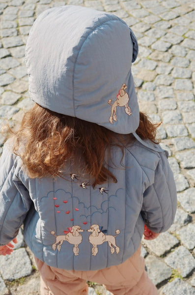 bomber jacket poodle