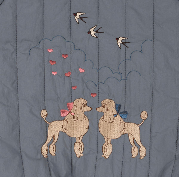 bomber jacket poodle