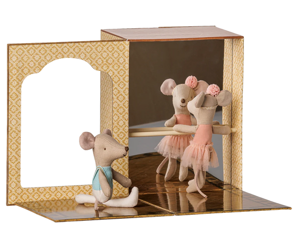 Ballet mice in dance studio, Little sister and brother