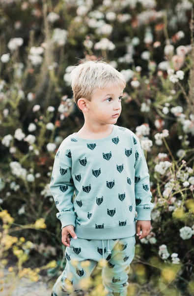 Fox Jogger Set
