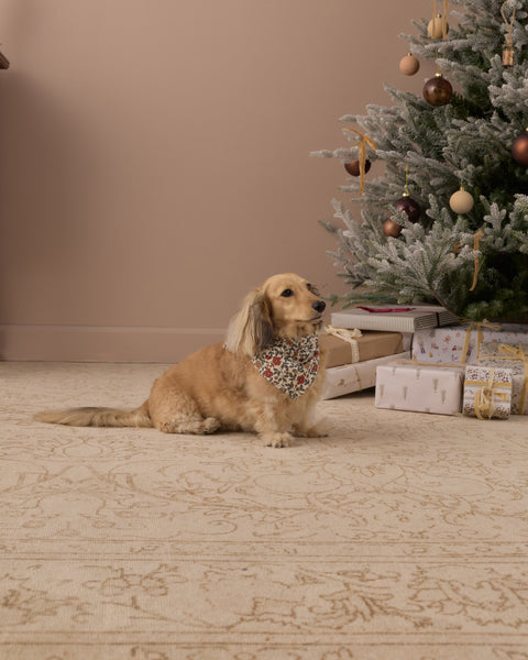 Dog Bandana Holiday Floral