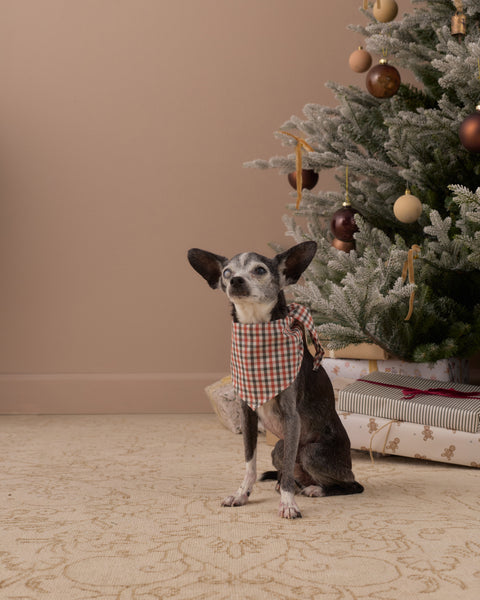 Dog Bandana Holiday Gingham