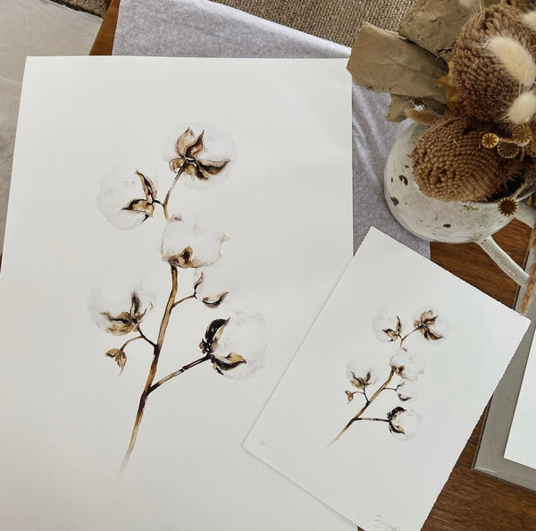 Cotton Art Print