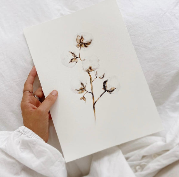 Cotton Art Print