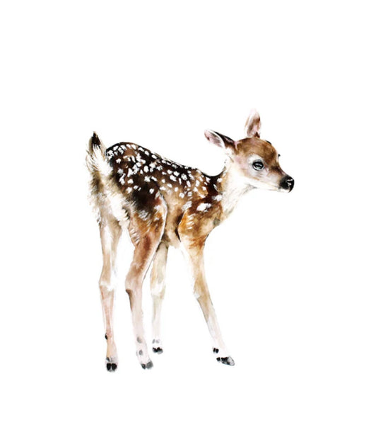 Fawn Art Print
