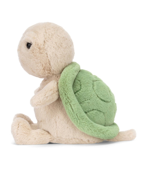 Thimble Turtle