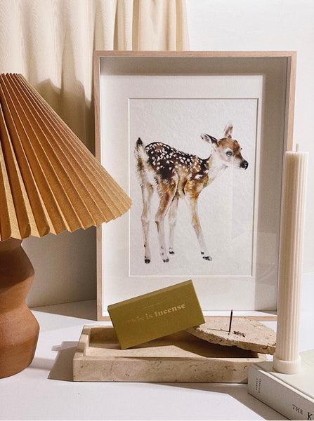 Fawn Art Print