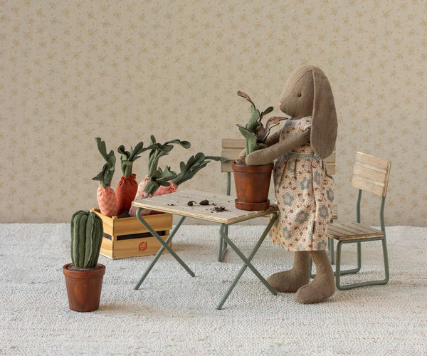 Flower pot with cactus