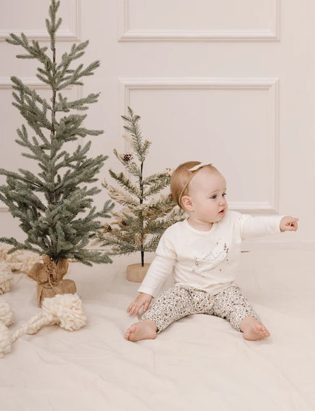 dove long sleeve tee and holly vines pant set