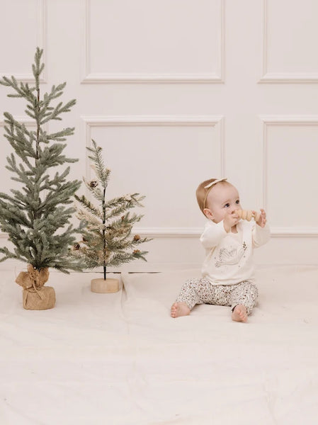 dove long sleeve tee and holly vines pant set