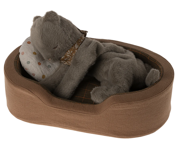 Plush Kitten, Medium - Earth Grey