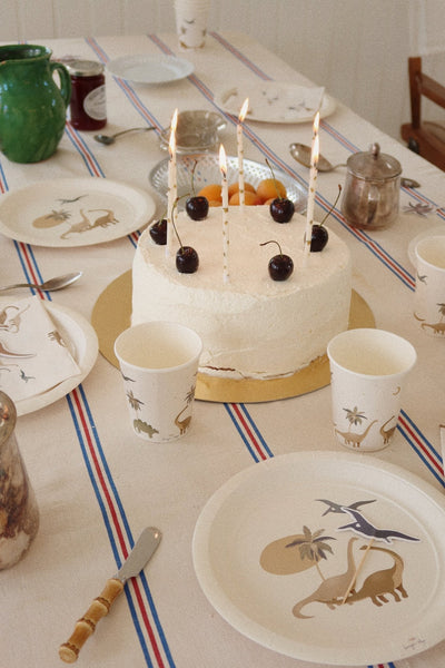 Konges Sløjd Dino Birthday Kit