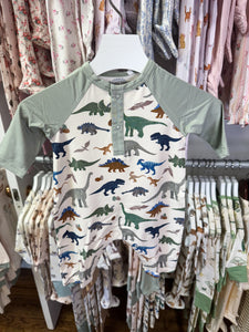 Washy Dinos - L/s Raglan Henley Romper