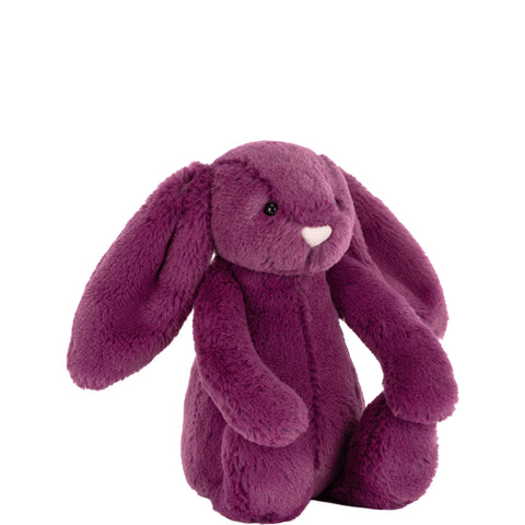 Bashful Allium Bunny