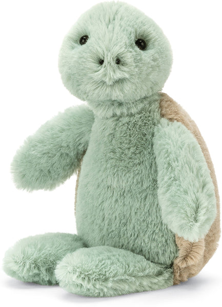 Bashful Turtle