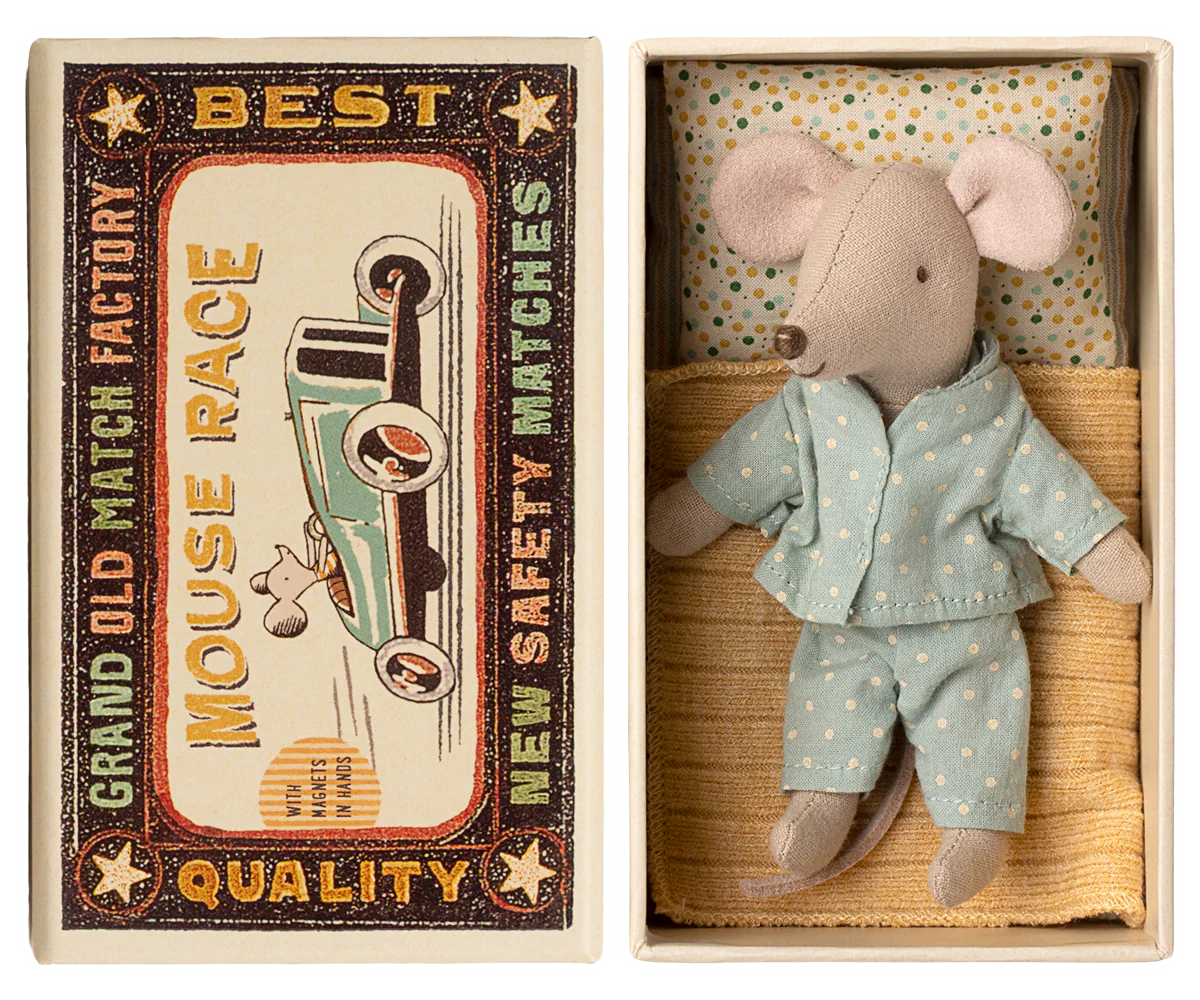 Little brother mouse in matchbox