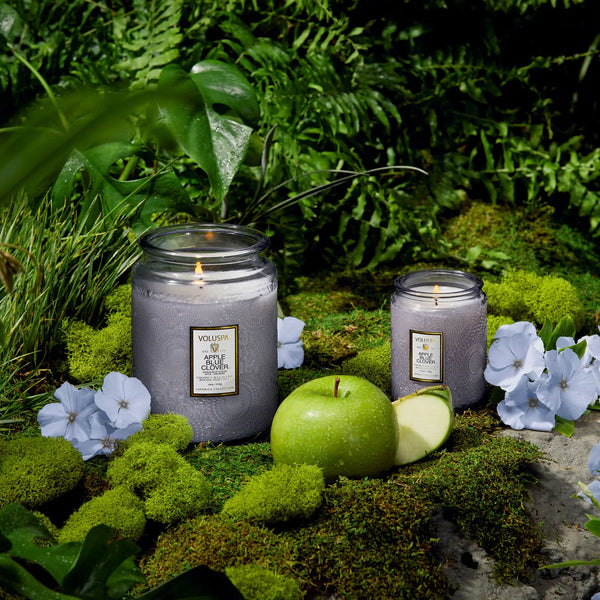 APPLE BLUE CLOVER LARGE JAR CANDLE